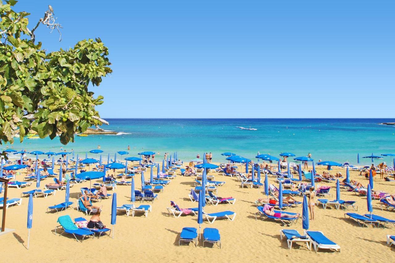 Lucile - Coralli Beachfront Apartment 帕拉利米尼 外观 照片